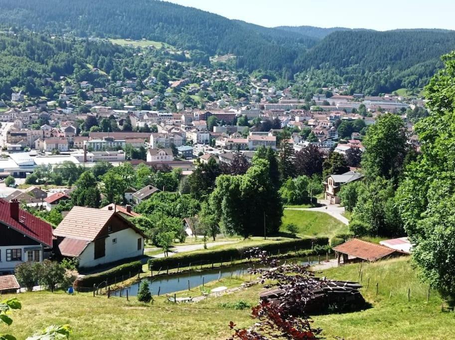 Chalet De Standing 14 Personnes Gérardmer Εξωτερικό φωτογραφία